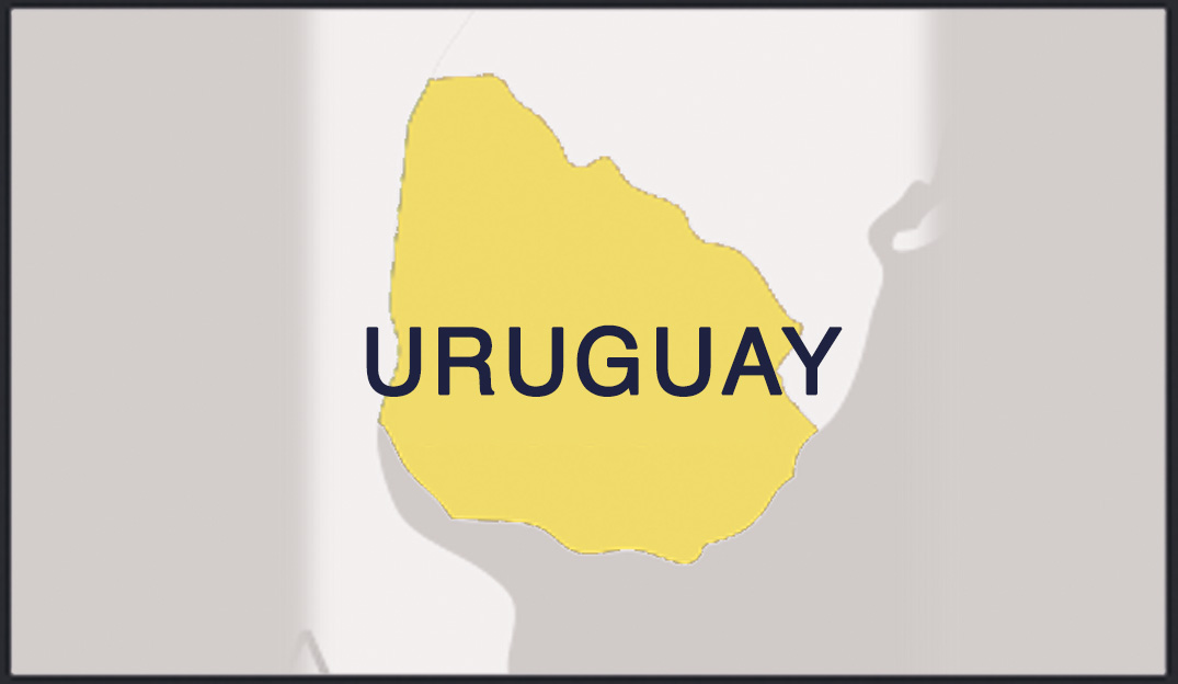 MicroPlus Germany of Uruguay